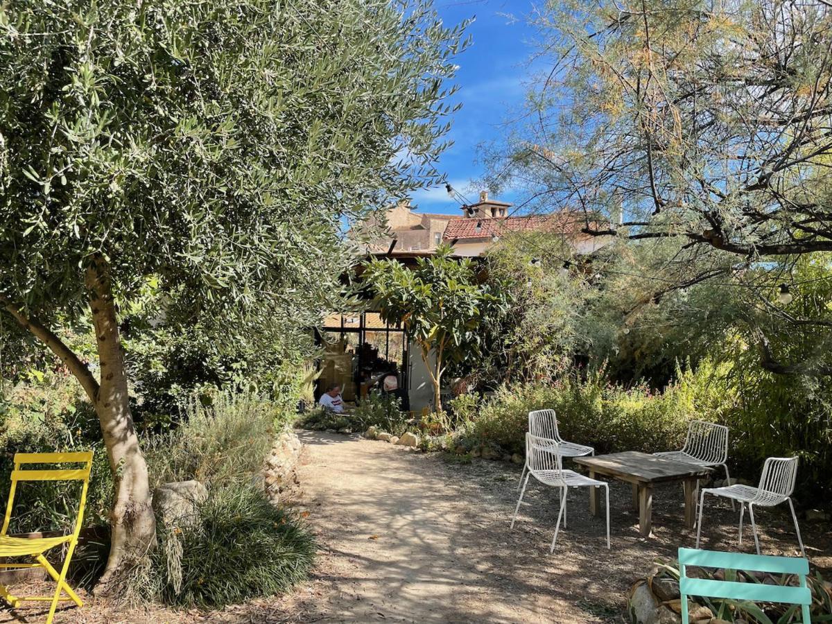 Gite Le Palmier - Perfectly Located Cosy Studio With Private Garden Puissalicon Exterior photo